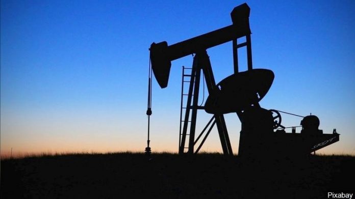 Oil19